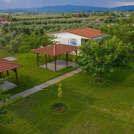 Holiday home Mama's Twin Agios Mamas (Chalkidiki)